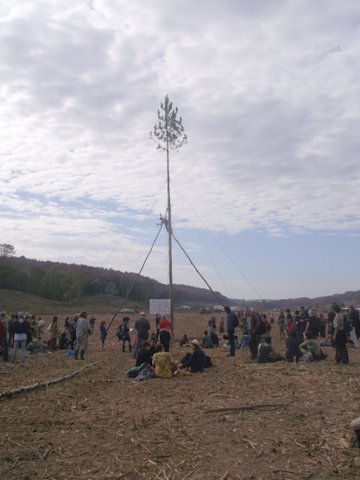 DSCF4469