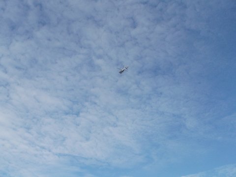 DSCF4480